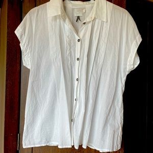 Cap Sleeve Shirt